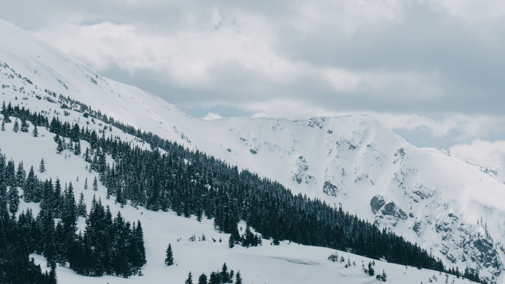 Winter mountains